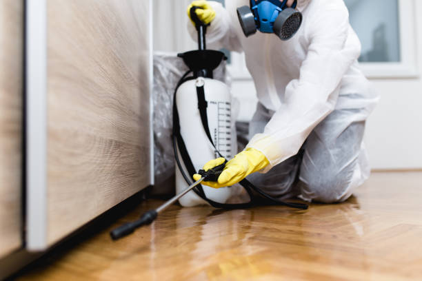 Best Best Pest Control Companies  in South Les, AK