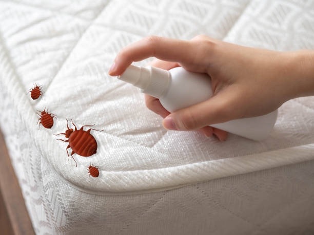 Best Residential Pest Control  in South Les, AK